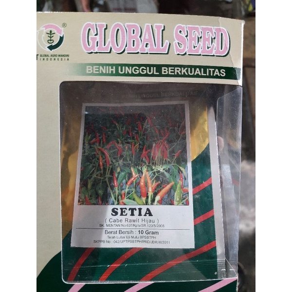 

Cabe rawit Setia