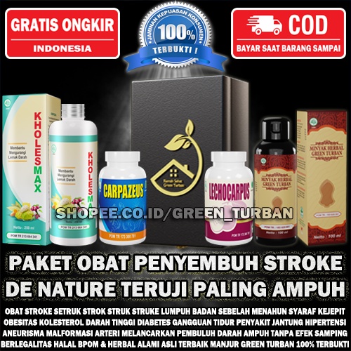 HARGA PAKET PENYEMBUH ASLI OBAT STROKE GREEN TURBAN 100% ORIGINAL PT HERBAL LUMPUH RINGAN BERAT PALI