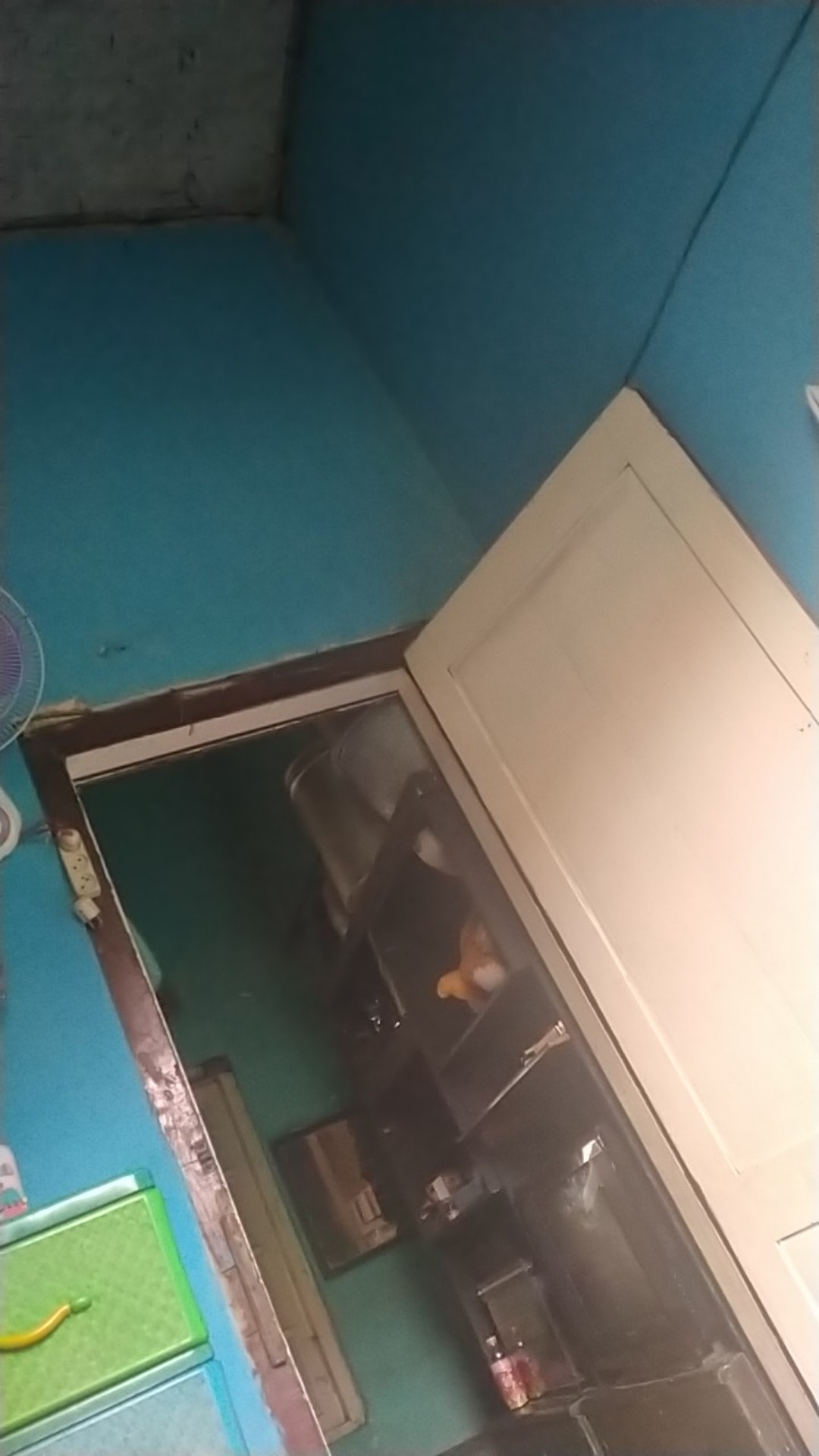 Plastik Hd Roll Buah Kuah Food Makanan Original Ukuran 25 Cm X 38 Cm Kemasan: 1kg