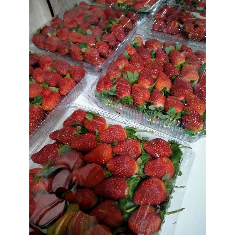 PROMO TERMURAH BUAH STRAWBERRY FRESH PREMIUM