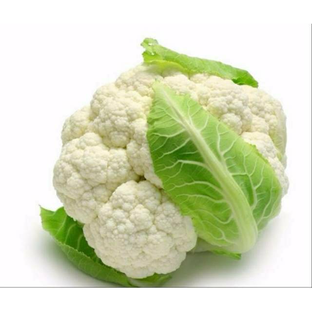 REPACK - Benih Bibit Biji Kol Bunga SNOW WHITE (10btr)