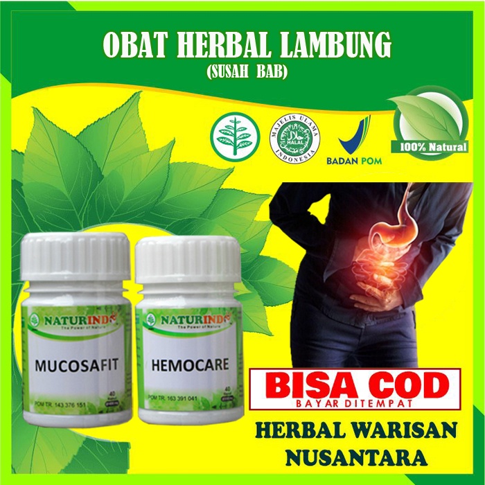 Obat Asam Lambung Ampuh Maag Gerd Masuk Angin Kronis Herbal Paling Ampuh Asam Lambung Maag Gerd Kembung Sesak Begah Masuk Angin Herbal Paling Ampuh MUI BPOM Mucosafit Naturindo-LAMBUNG + SUSAH BAB
