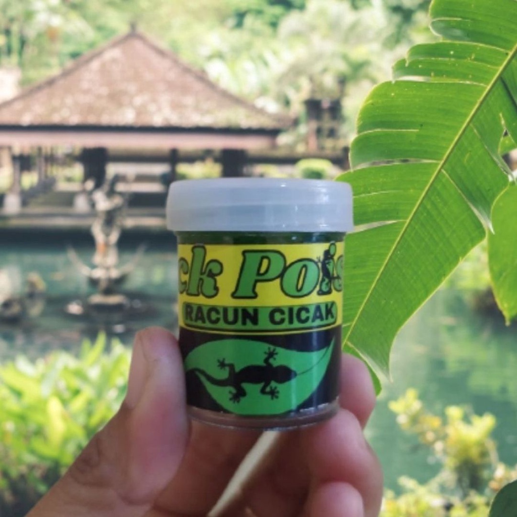 Racun Cicak Herbal Original FEZONE