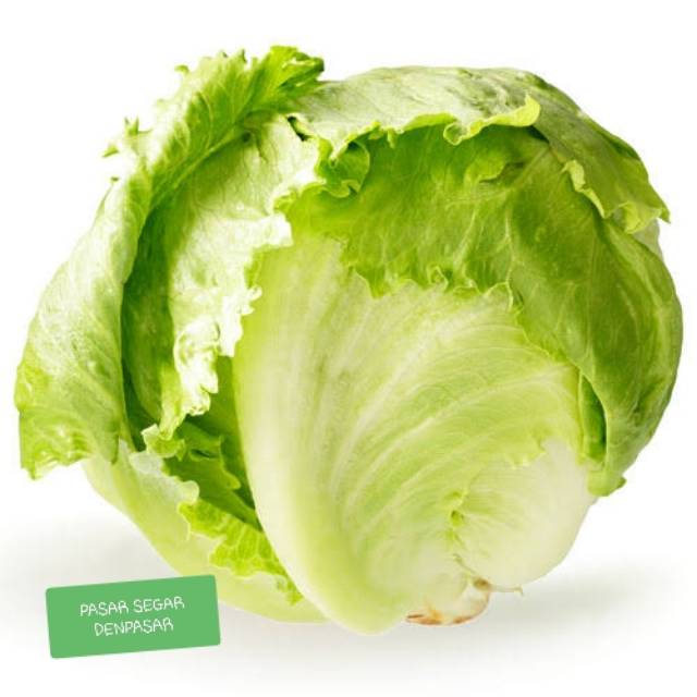 

ICEBERG LETTUCE/SELADA BULAT 250Gr