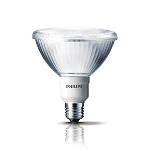 PHILIPS PAR38 18W - Lampu Sorot Hemat Energi cahaya Putih