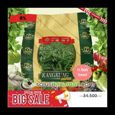Kangkung Lebar @500G Biji Benih Sayuran Bibit Sayur Tanaman Hidroponik