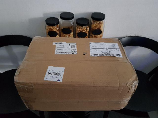 Gayung 1,5 Ltr Gl3 Lion Star