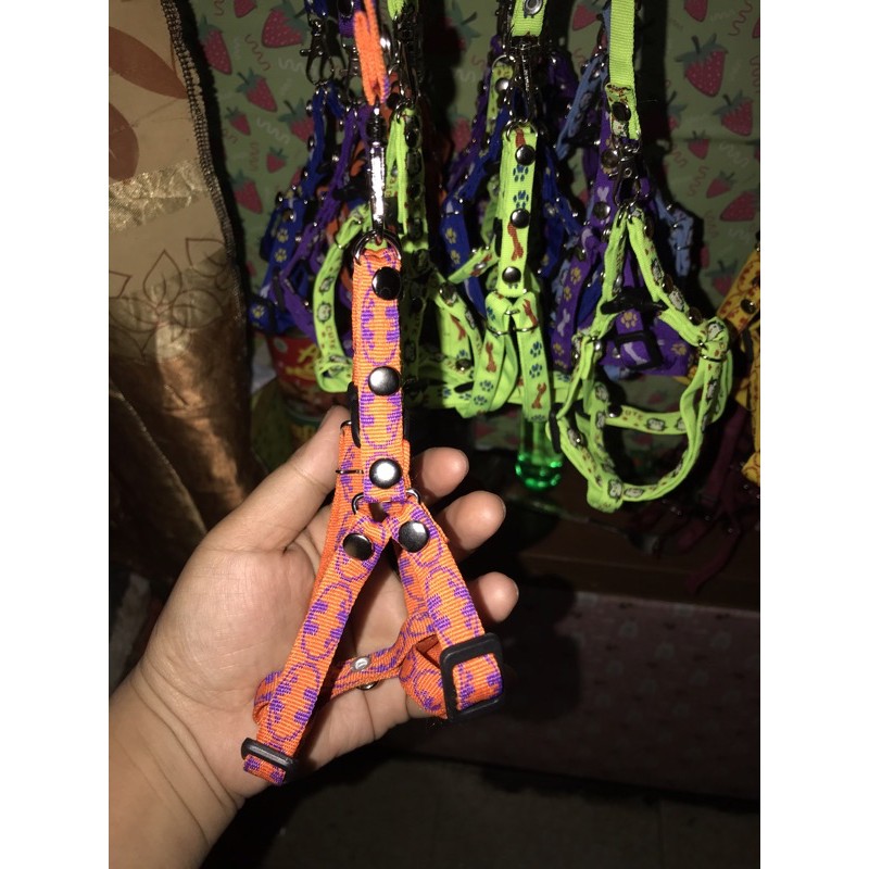 HARNES TALI TUNTUN HEWAN KUCING,kelinci,musang dll