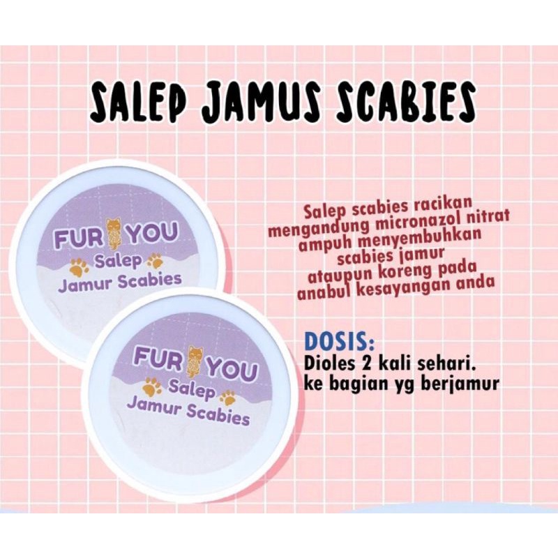 obat salep jamur scabies kucing .obat salep jamur kucing . obat salep koreng kucing