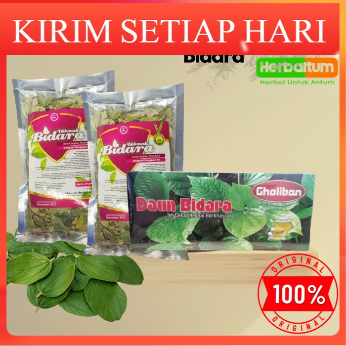 

DAUN BIDARA RUQYAH - Bidara Kering - TEH BIDARA CELUP SEDUH 30 gram