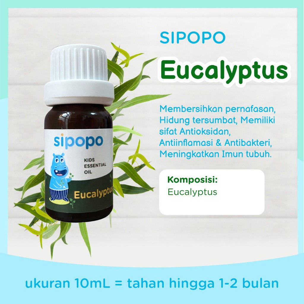 [ASLI] SIPOPO Essential Oil Eucalyptus Kualitas PREMIUM + VCO GRATIS