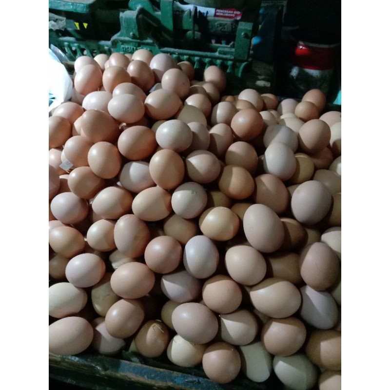 

Telur Ayam Negeri 1Kg Wajib Gojek/Grab