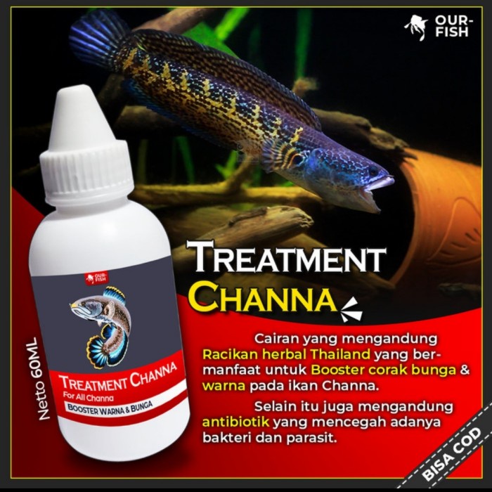 Ourfish - Treatment Channa Booster For All Channa 60 ML