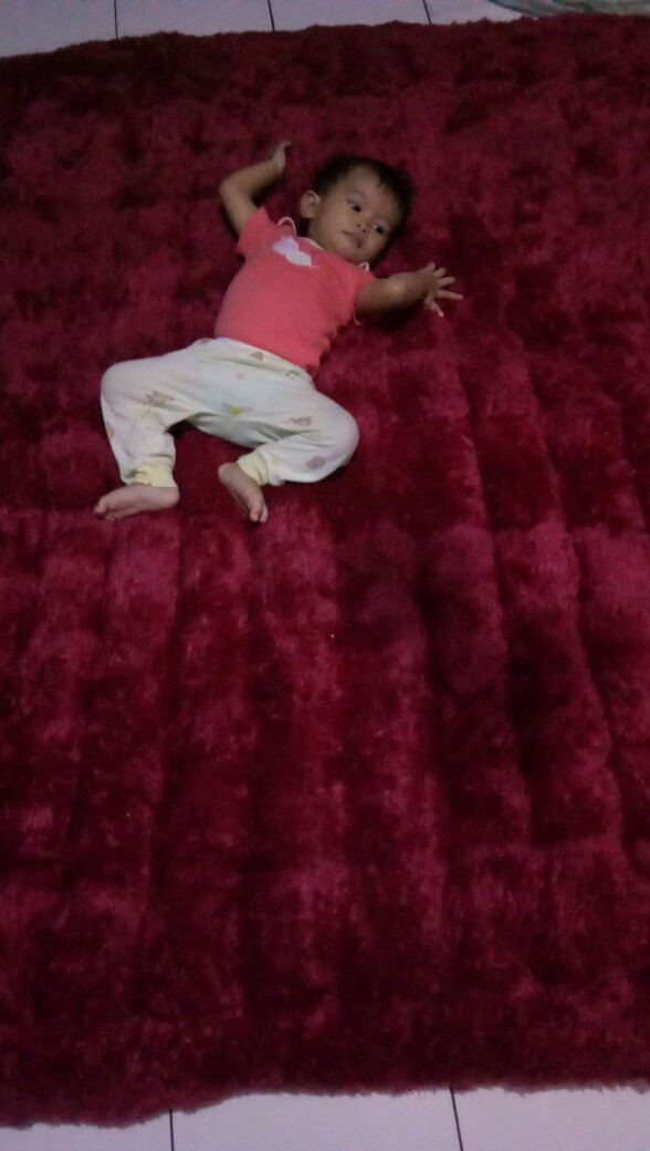 Surpet (mau Harga Murah Chat Aja)