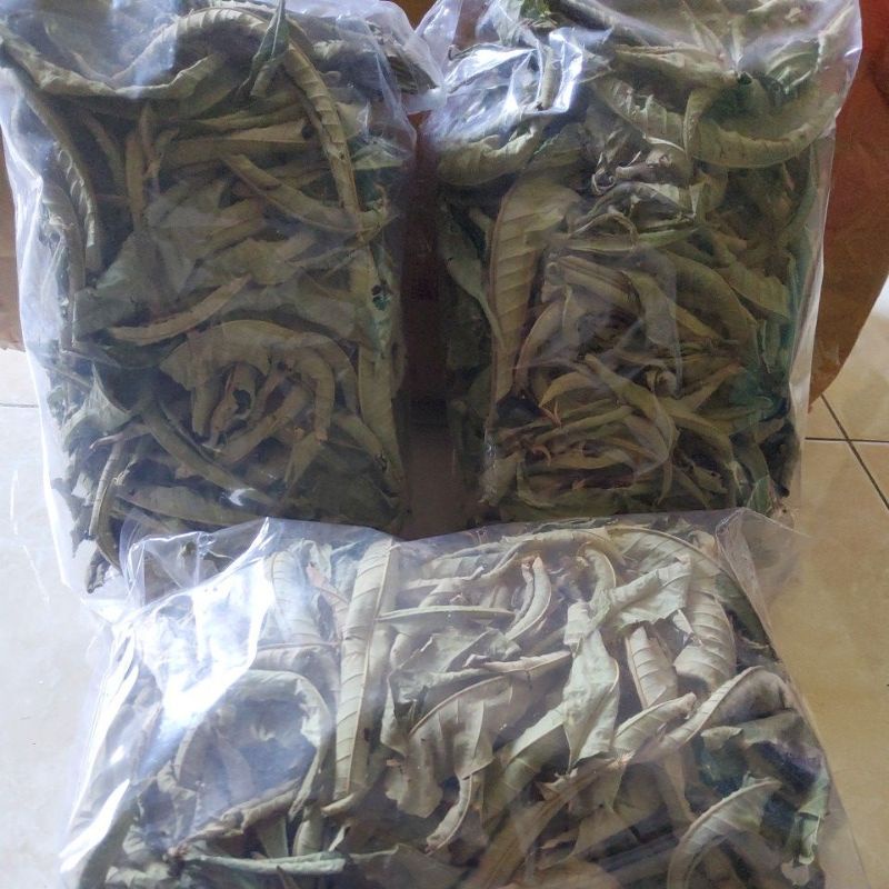 

daun sungkai kering penambah imun