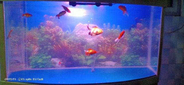 Buhur Dupa Kerucut Malaysia Isi 50pc 50 Krucut Bukhur Malay Gahru Murah