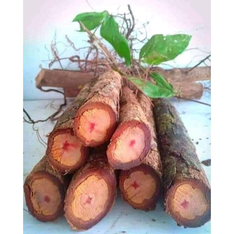 

Bajakah Asli Kalimantan 1kg