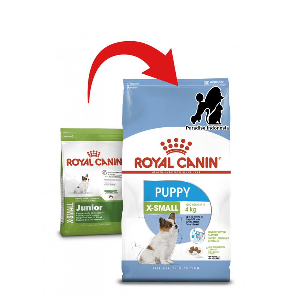 small puppies small puppies