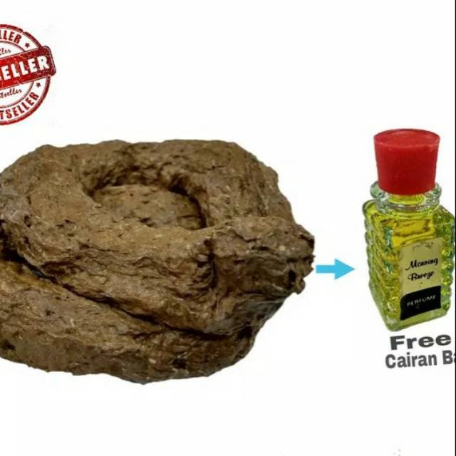 Shit Prank Tai Mainan Tai Eek Jerk Plus Parfum Bau Tai Bau