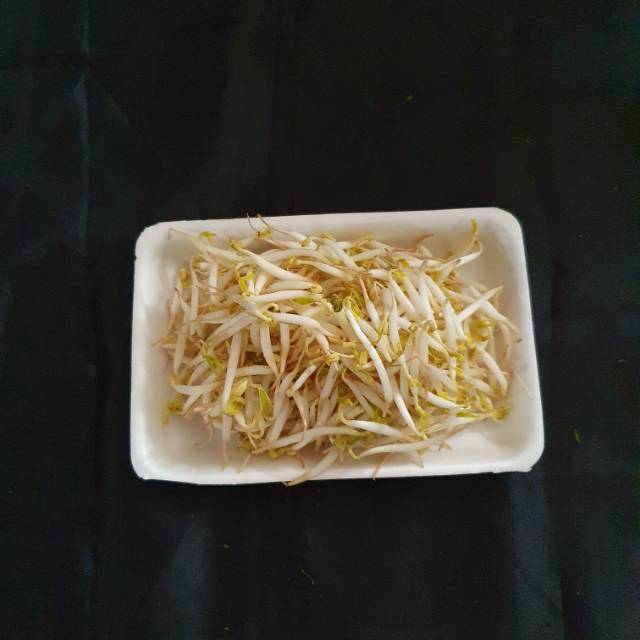 

Sayur toge