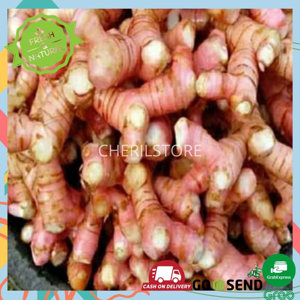 LENGKUAS LAOS  500gram SAYURAN FRESH BUMBU  DAPUR  Shopee 