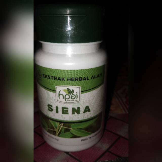 

Siena