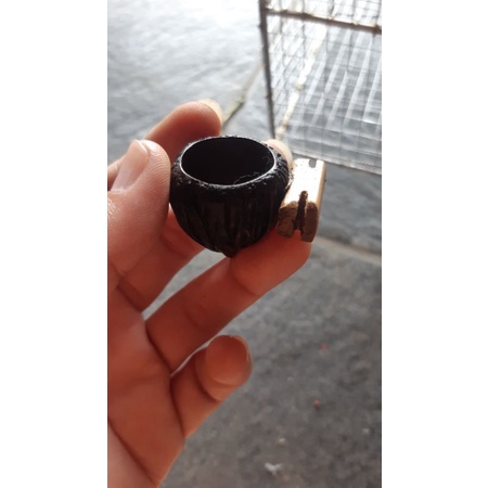 cepuk pakan burung bucil pleci alami