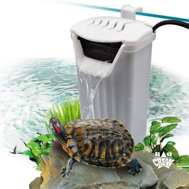 Turtle Low Water Filter Aquarium Kura Kura Reptil Saringan Akuarium Hewan Peliharaan