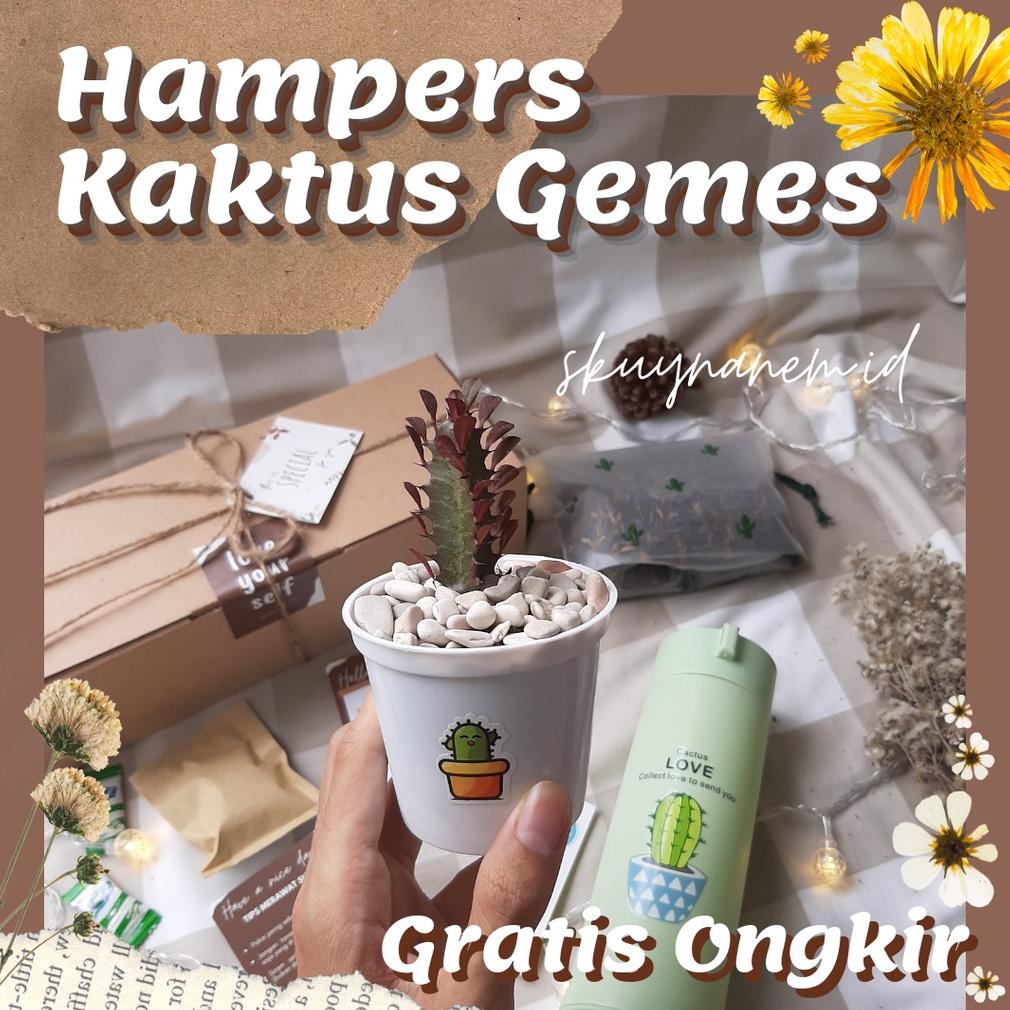 Giftbox Hampers Planter Kit Kaktus Kado Graduation Wisuda Hadiah Ulang Tahun Birthday
