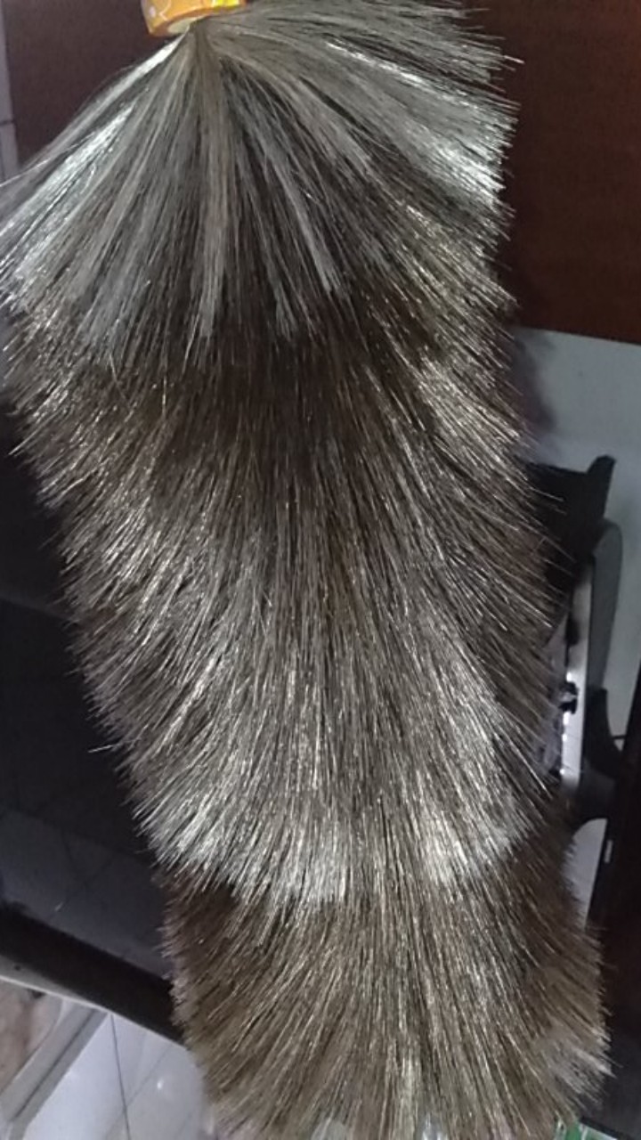 Kemoceng Bulu Raspur / Kemoceng/ Kemong Bulu