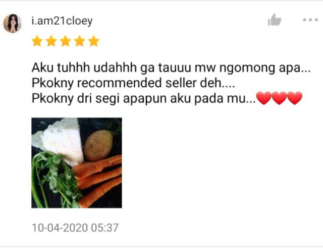 KIRIM INSTAN Paketan Sayur Sop 500gr BONUS Racik Sayur Sop