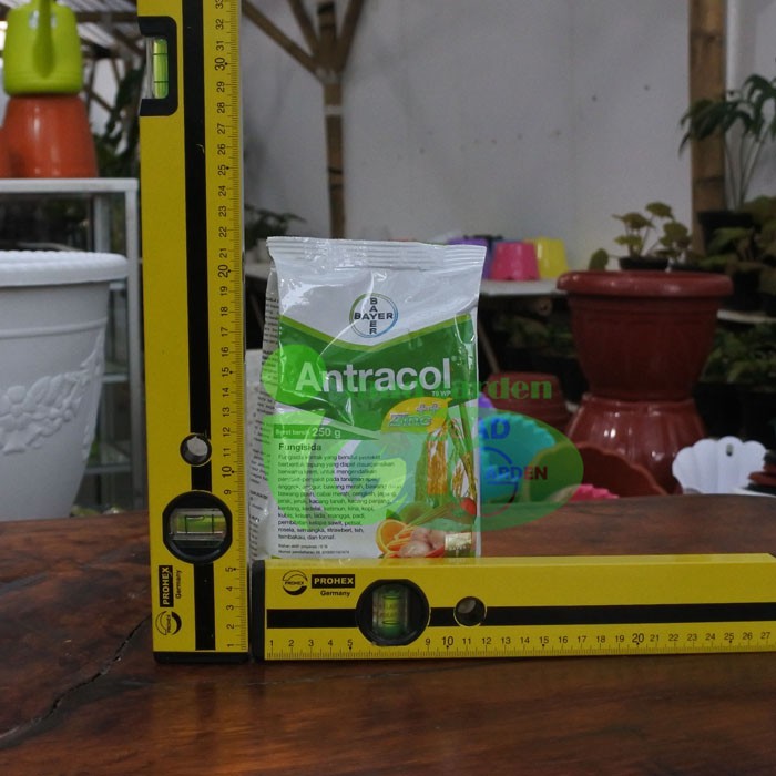 Pupuk Pembasmi Hama Jamur Untuk Tanaman Hias Fungisida Merk Antracol Shopee Indonesia