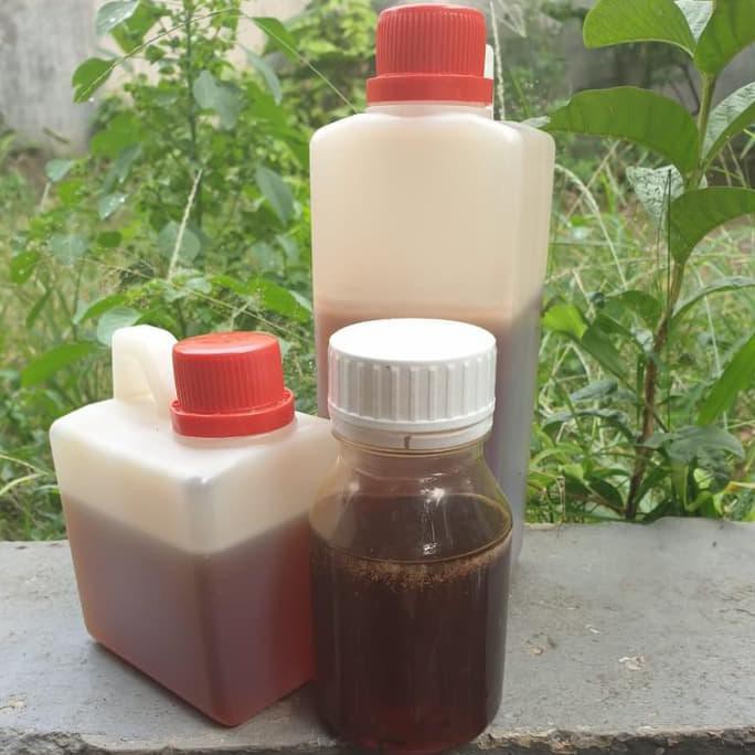 

Madu Kalimantan Curah. Isi Bersih 300g