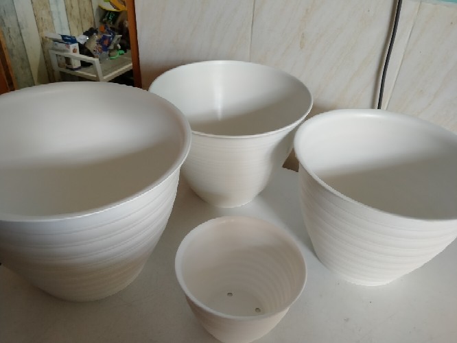 Pot Tawon /pot Nanas 17