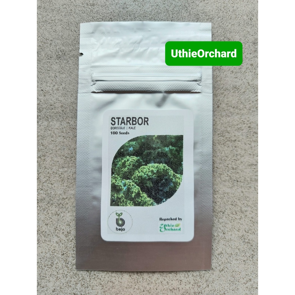BENIH BEJO SEED - KALE CURLY STARBOR KEMASAN 100 SEEDS
