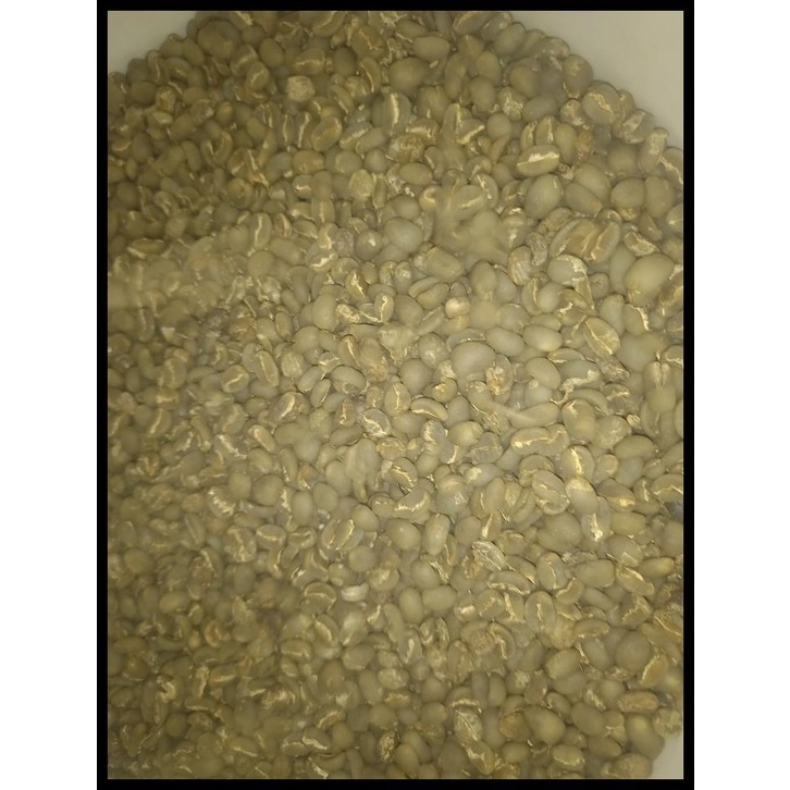 

DISKON TERBATAS !!! KOPI BIJI/GREEN BEAN ACEH GAYO SEMI WASH 1 KG TERLARIS