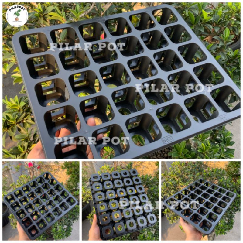 Tray pot nkt kotak 5cm lubang 30 (tanpa pot) | TRAY NKT 5CM LUBANG 30