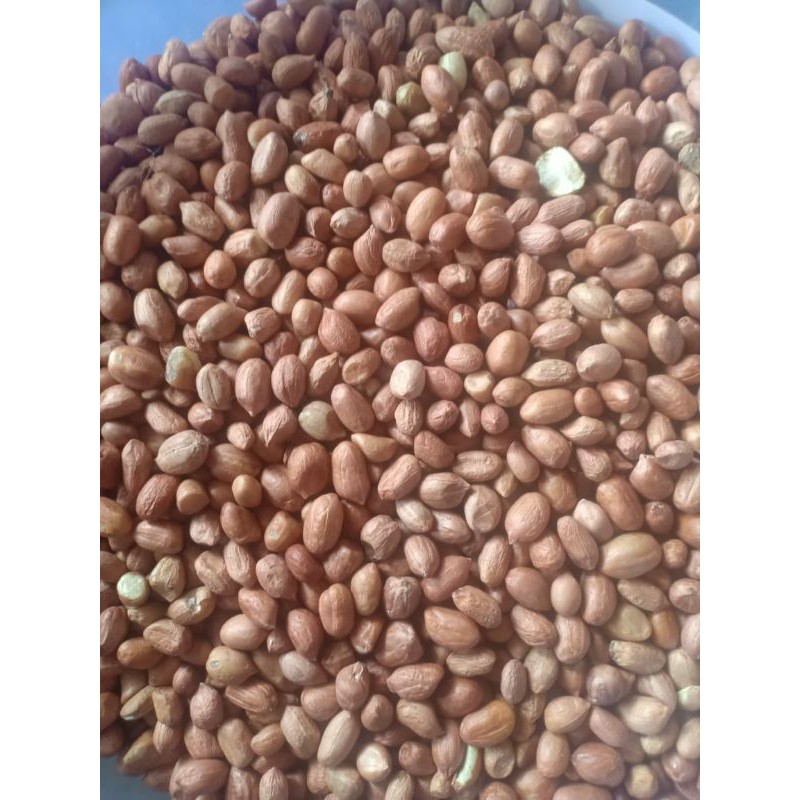 

Kacang Tanah (500 G)