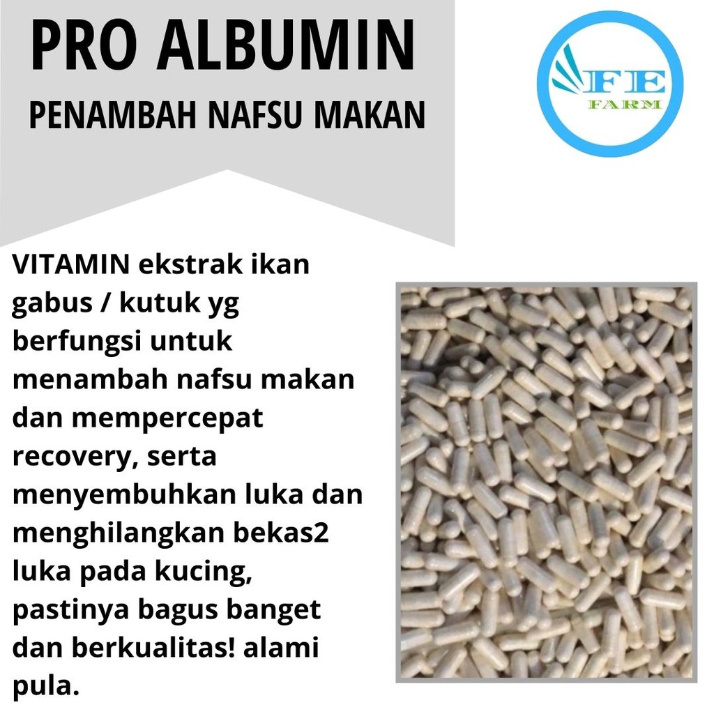 Suplemen Vitamin Penyembuh Luka Kucing PRO ALBUMIN FEFARM