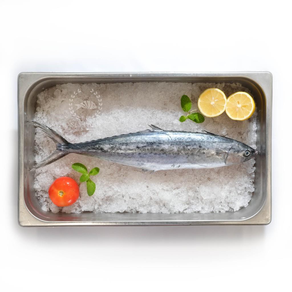 

Ikan Tenggiri Utuh Fresh 1Kg