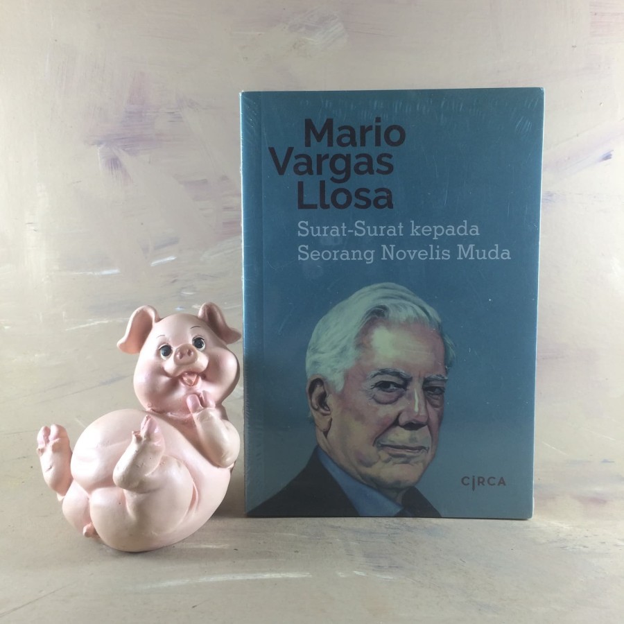 Surat-Surat Kepada Seorang Novelis Muda
