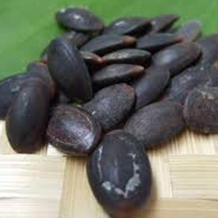 

100 gram Biji Kedaung