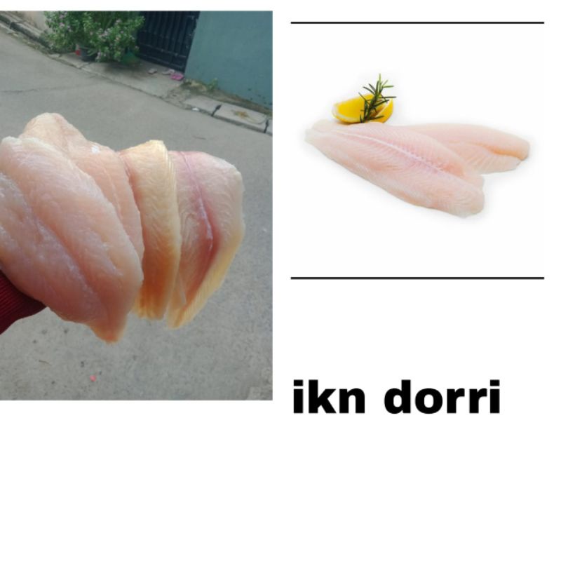 

ikan dorri