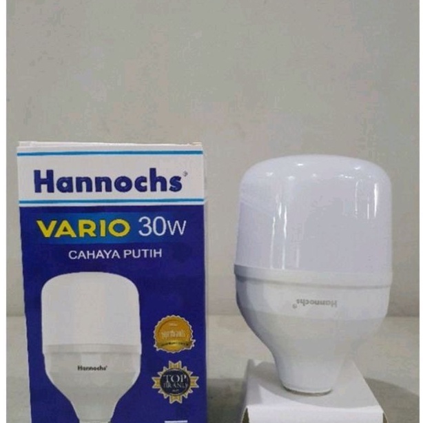 lampu hannochs 30watt