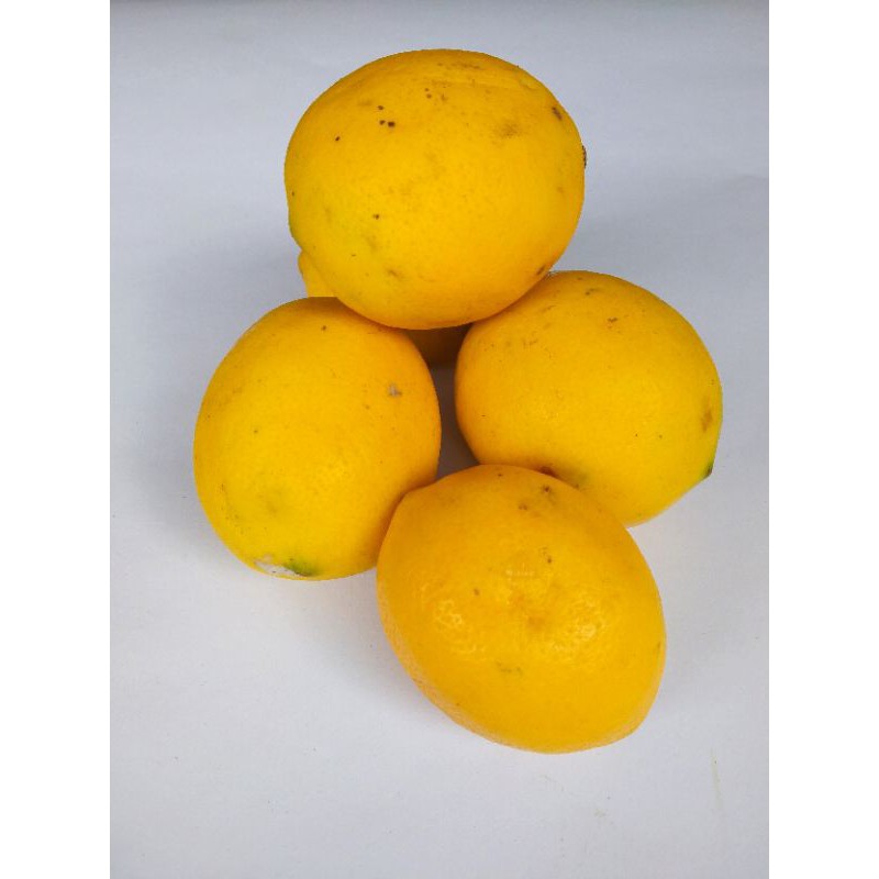 

JERUK LEMON