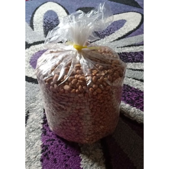 

KACANG BOGARES ISI 3 KG