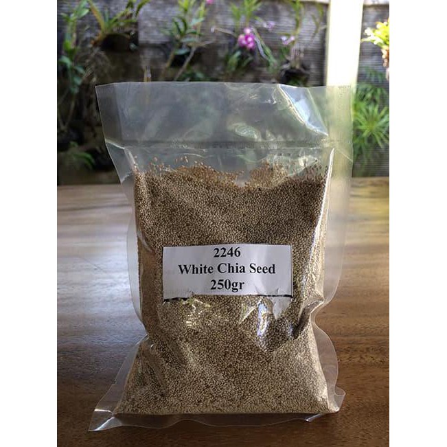 

Paling Dicari] White Chia Seed