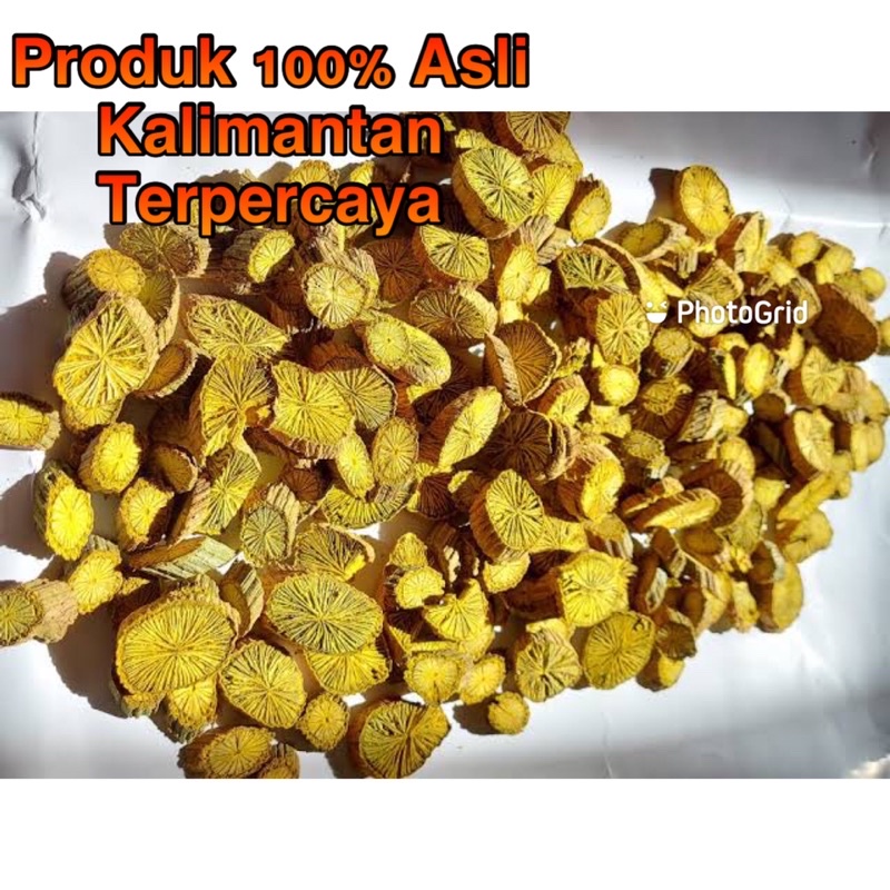 AKAR BAJAKAH KUNING TANPA KEMASAN ASLI KALIMANTAN (1KG Kering 100% Original Asli Kalimantan)