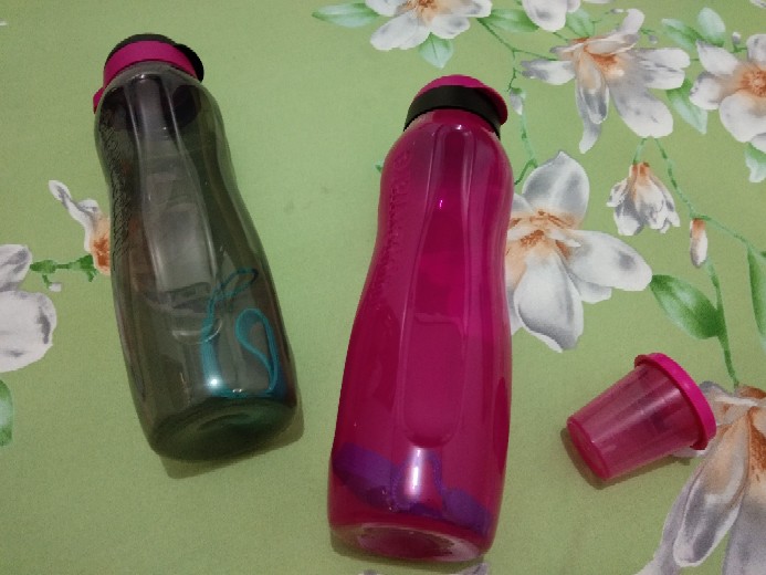 Eco Bottle 1ltr