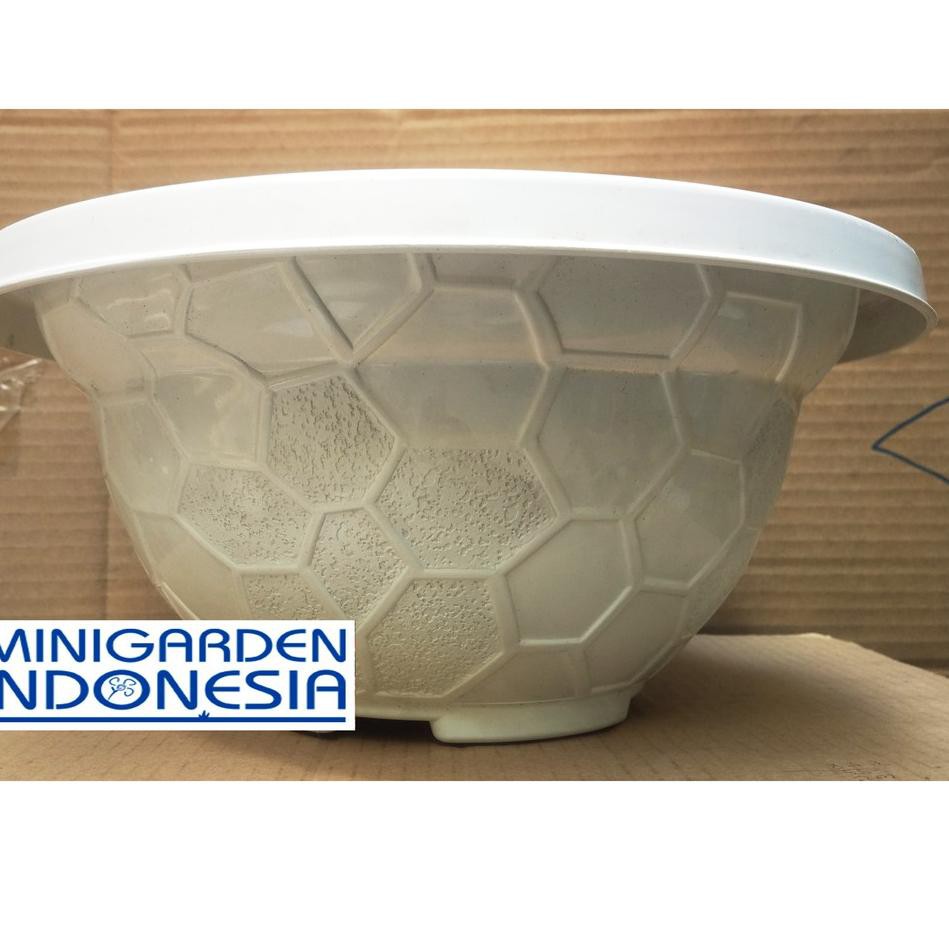 Import Terlaris Pot bunga dia 33 x15 MOZAIK u benih bibit Import Terlaris Pot bunga dia 33 x15 MOZAIK u benih bibit